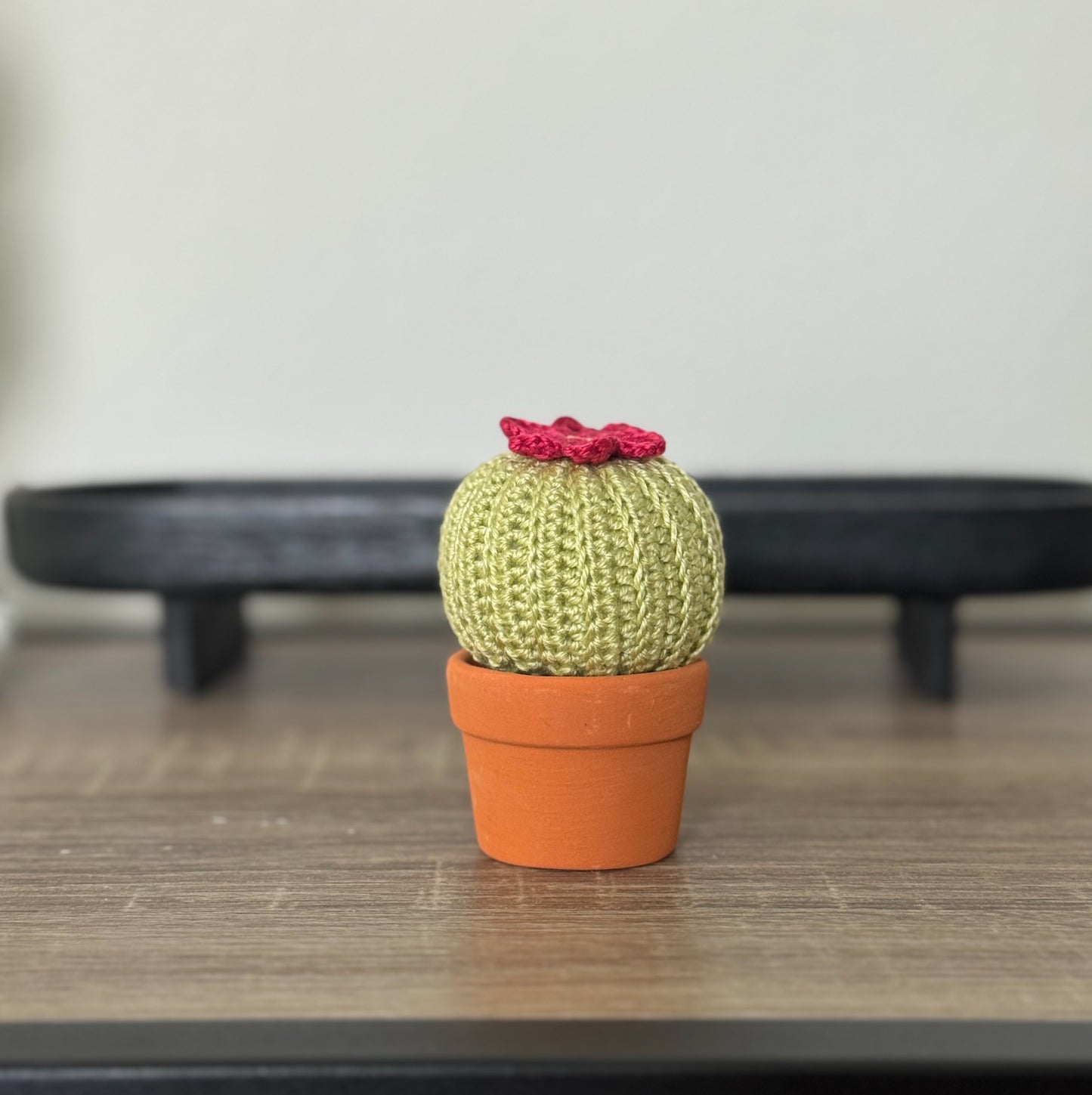 04 Cactus in the pot