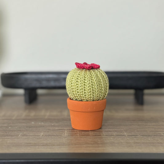 04 Cactus in the pot