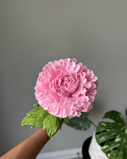 Detailed Large Pink Peony