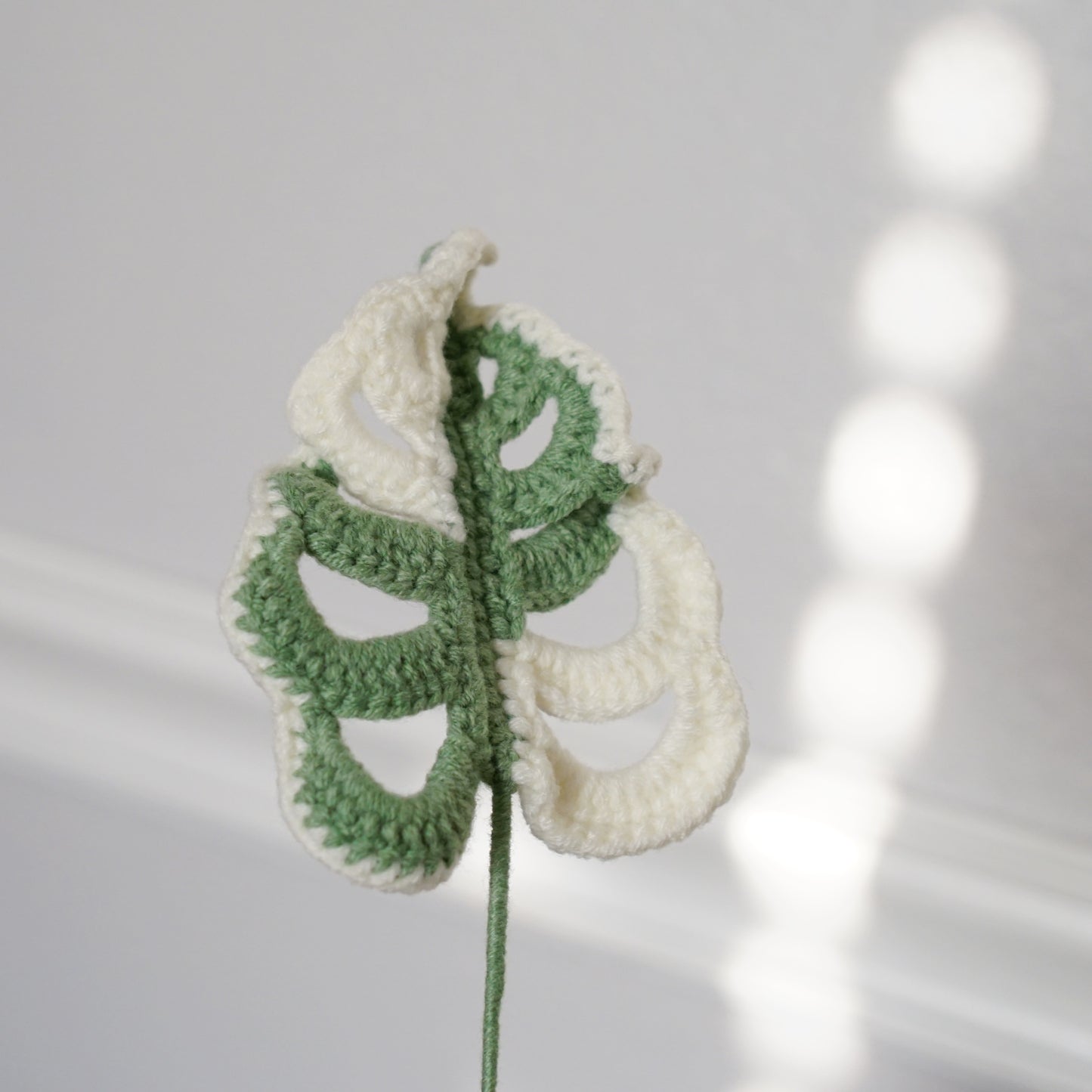 MONSTERA