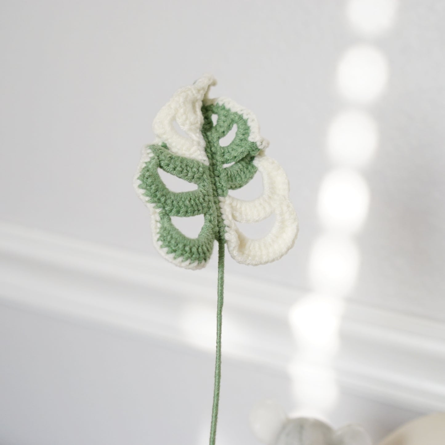 MONSTERA