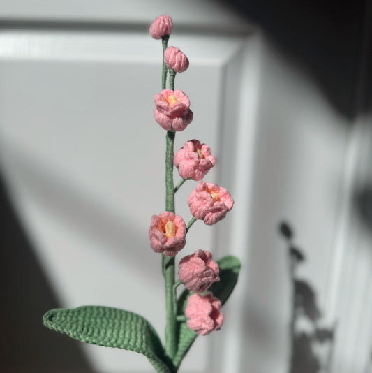 Pink Bell Orchid