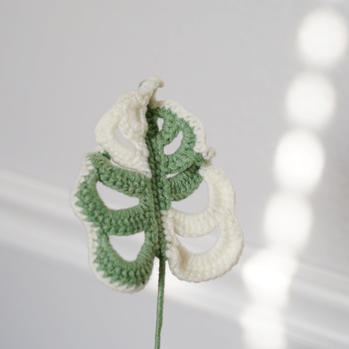 MONSTERA