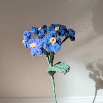 Blue Forget me nots