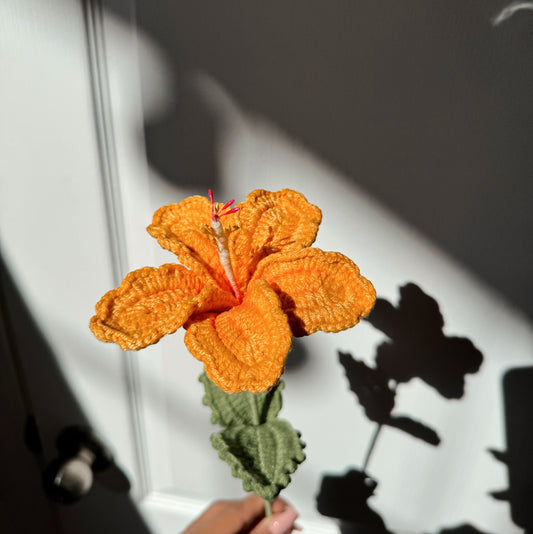 YELLOW HIBISCUS
