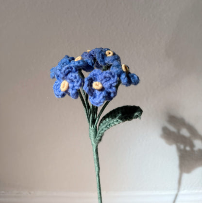 Blue Forget me nots