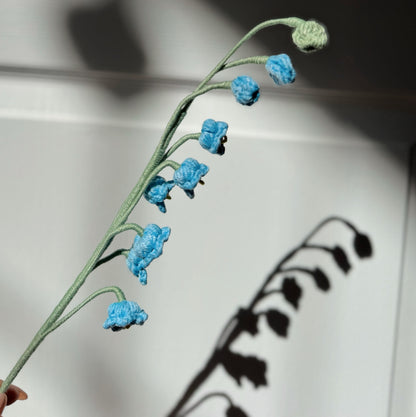 Blue Lily Of The Valley