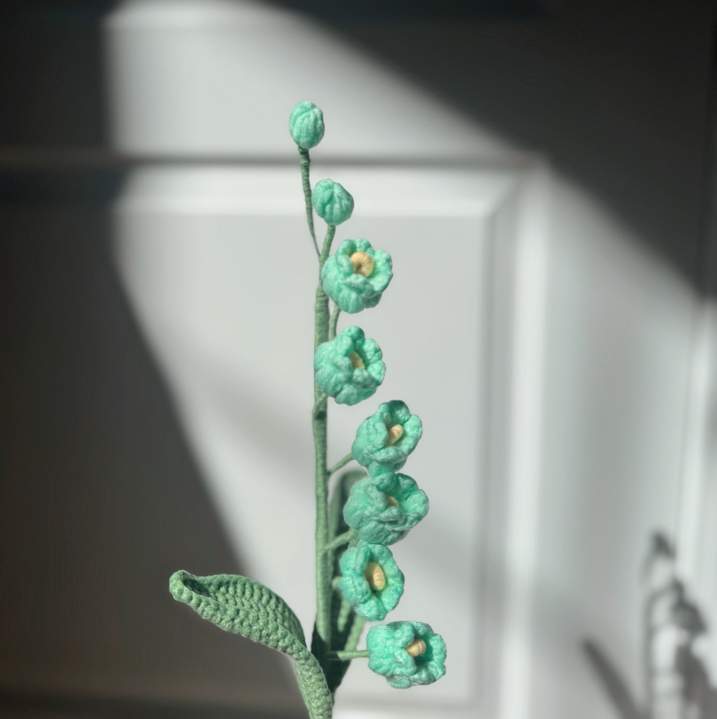 Green Bell Orchid