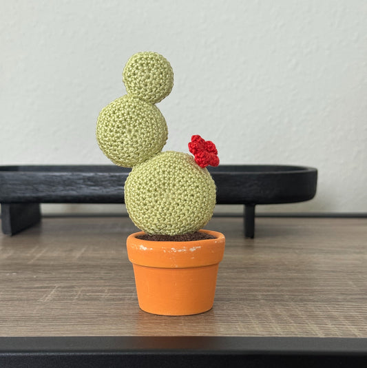 03 Cactus in the pot