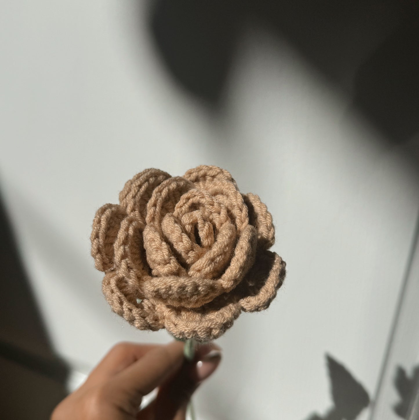 Neutral Rose