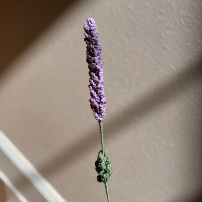 LIGHT PURPLE LAVENDER