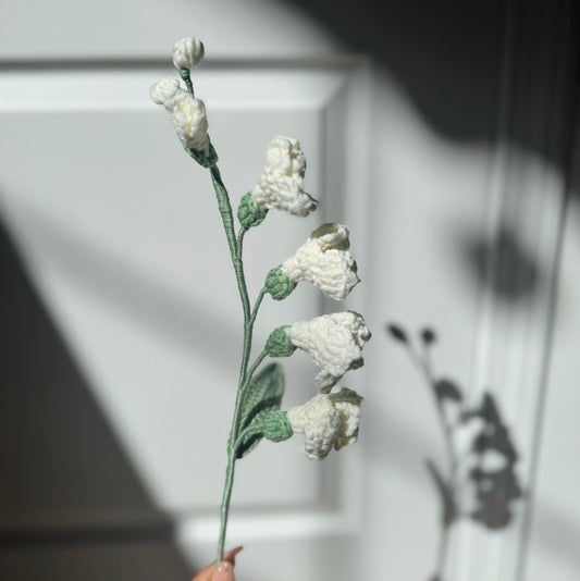 White Freesia