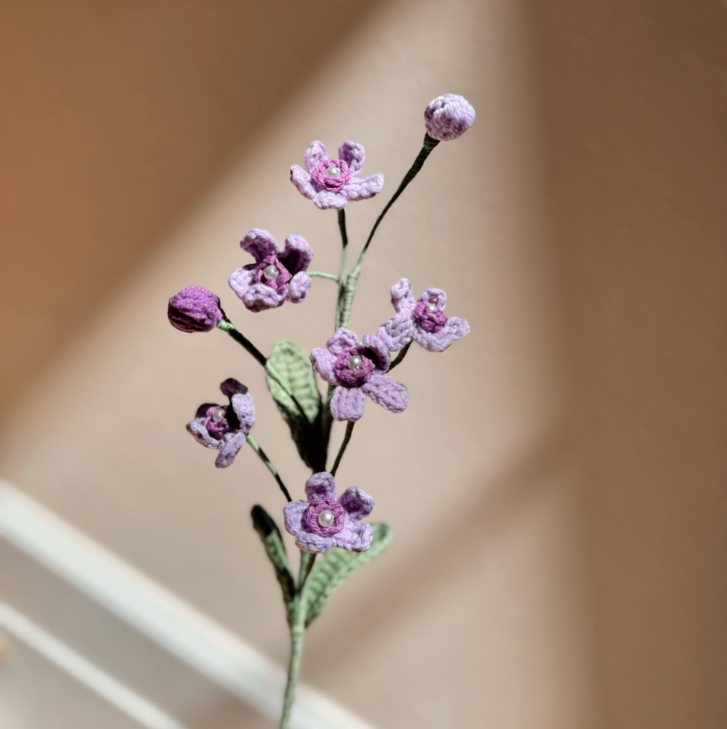 PURPLE OXYPETALUM