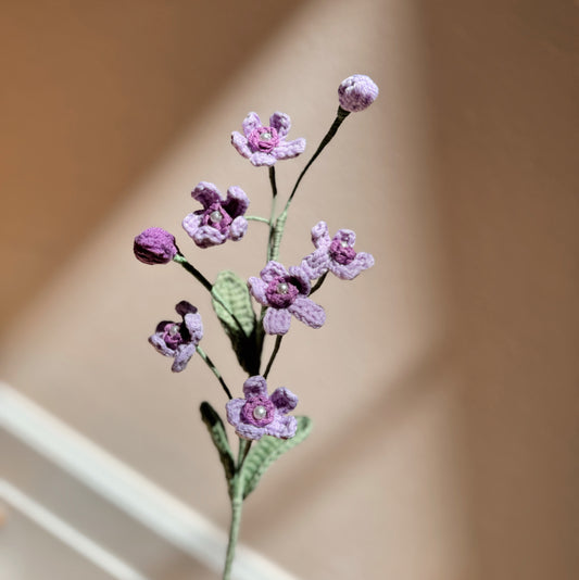 PURPLE OXYPETALUM
