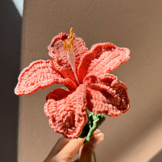 ORANGE HIBISCUS