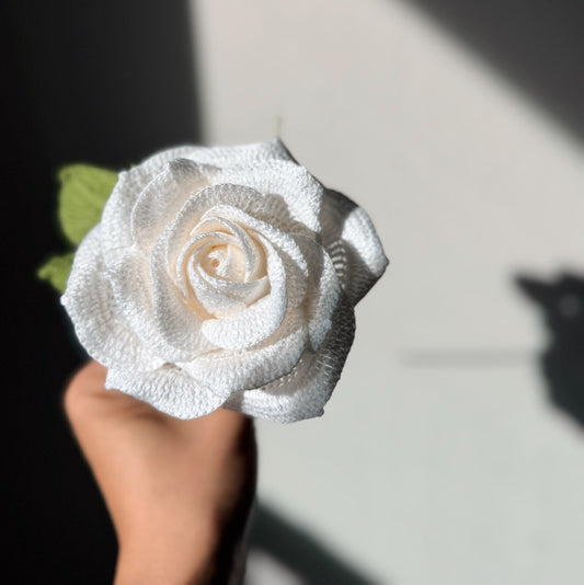 Detailed White Rose