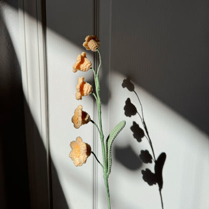 YELLOW LILY OF THE VALLEY