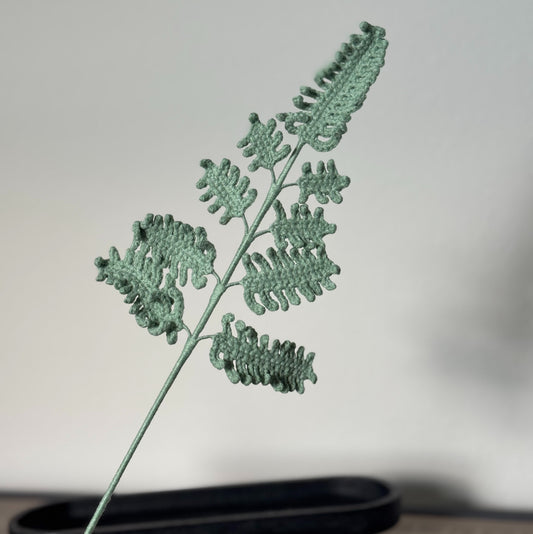 Fern