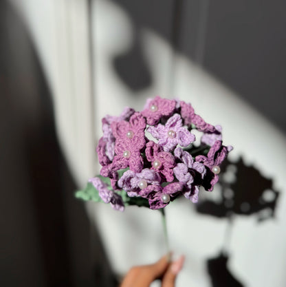 PURPLE HYDRANGEA