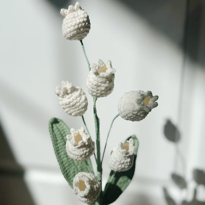 White Canterbury Bell