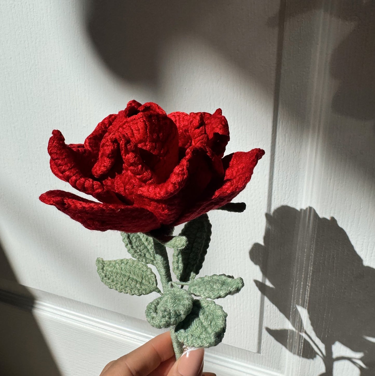 Red XL Rose