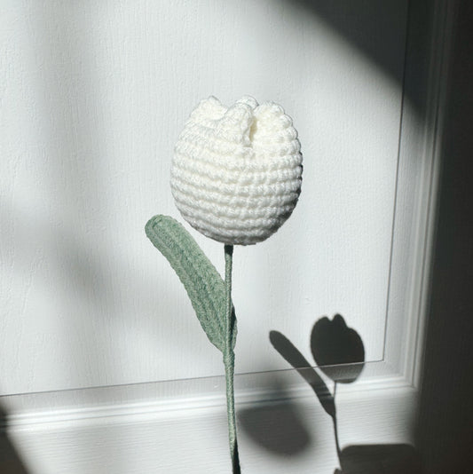 TULIP