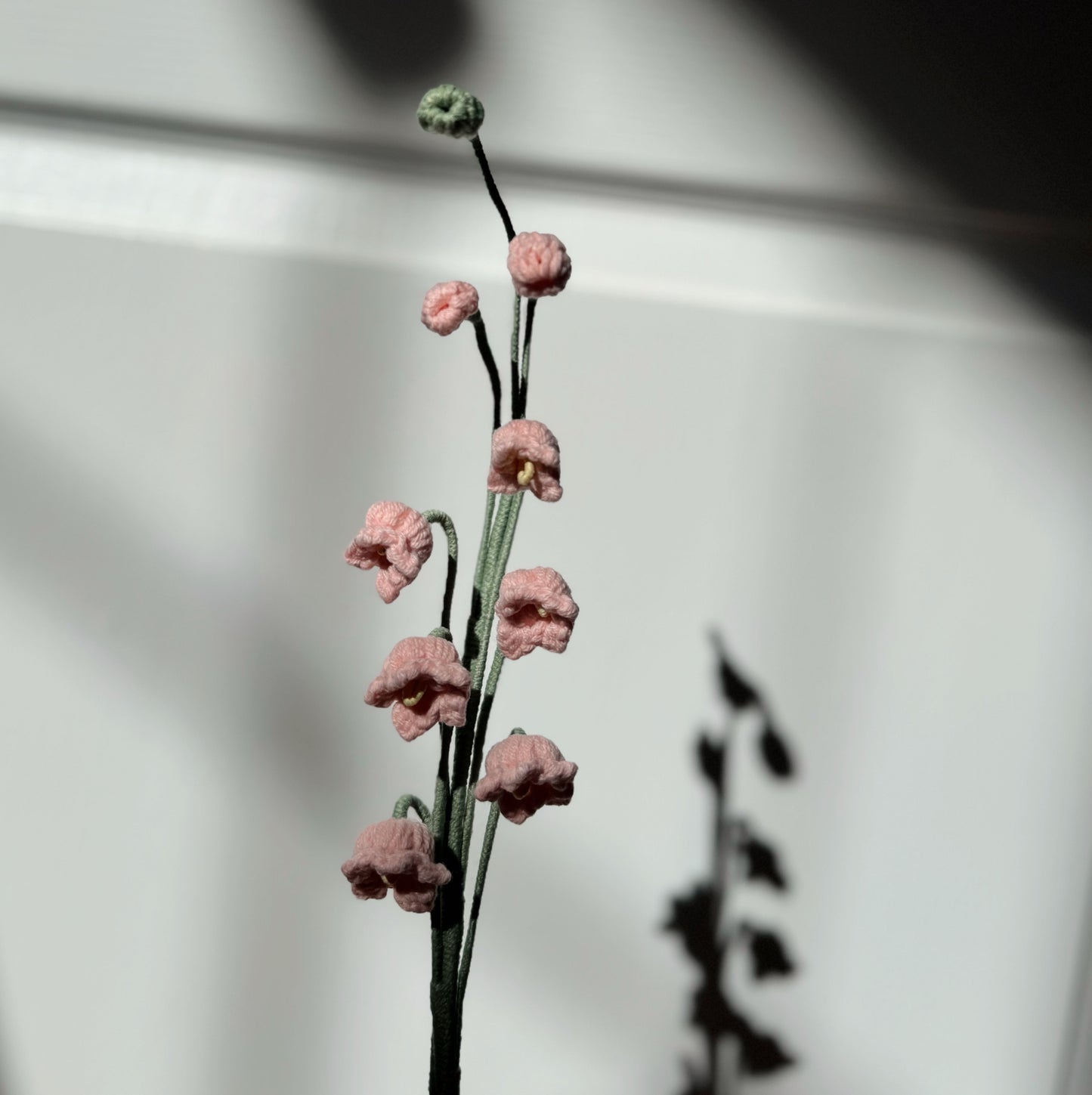 Pink Lily Of The Valley