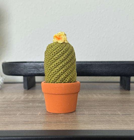 06 Cactus in the pot