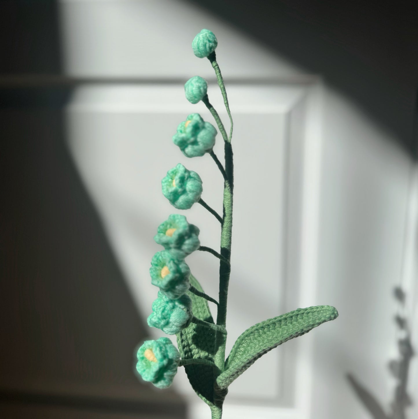 Green Bell Orchid