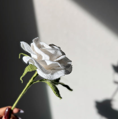 Detailed White Rose