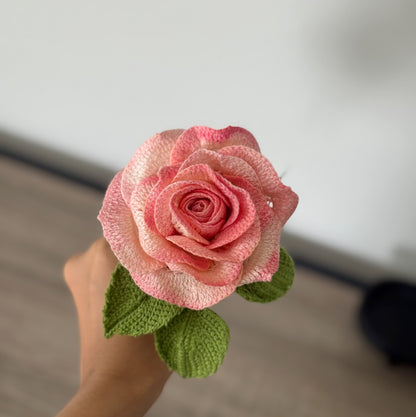 Ombré Peach Detailed Rose