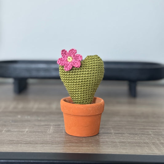05 Cactus in the pot