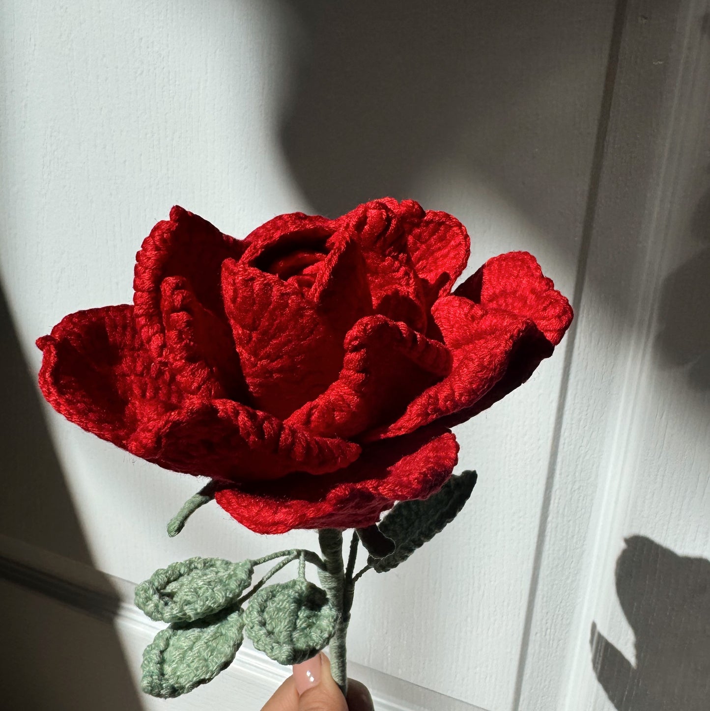 Red XL Rose