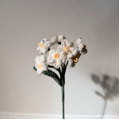 White Forget me nots