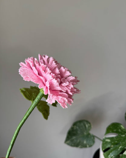 Detailed Large Pink Peony