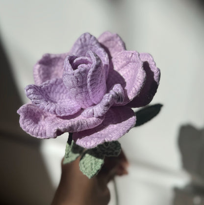 Purple XL Rose
