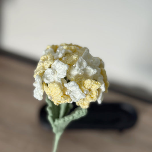 Yellow Hydrangea