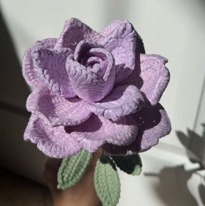 Purple XL Rose