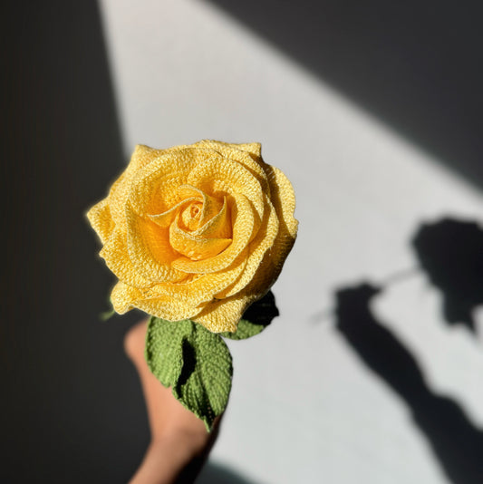 Detailed Yellow Rose