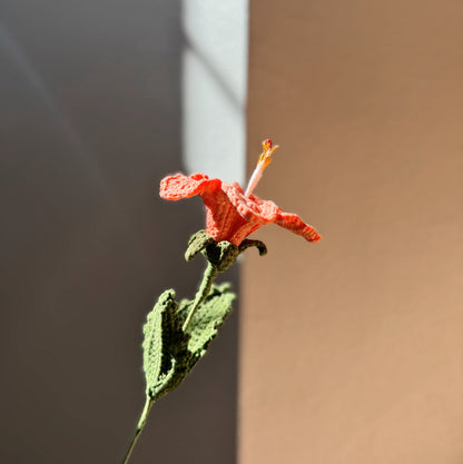 ORANGE HIBISCUS
