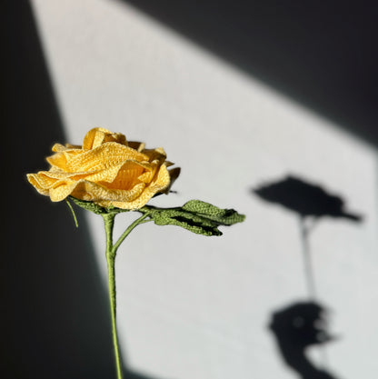 Detailed Yellow Rose