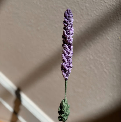 LIGHT PURPLE LAVENDER