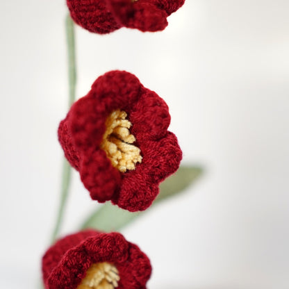 RED WINE LILY OF THE VALLEY