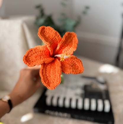 Bright Orange Hibiscus