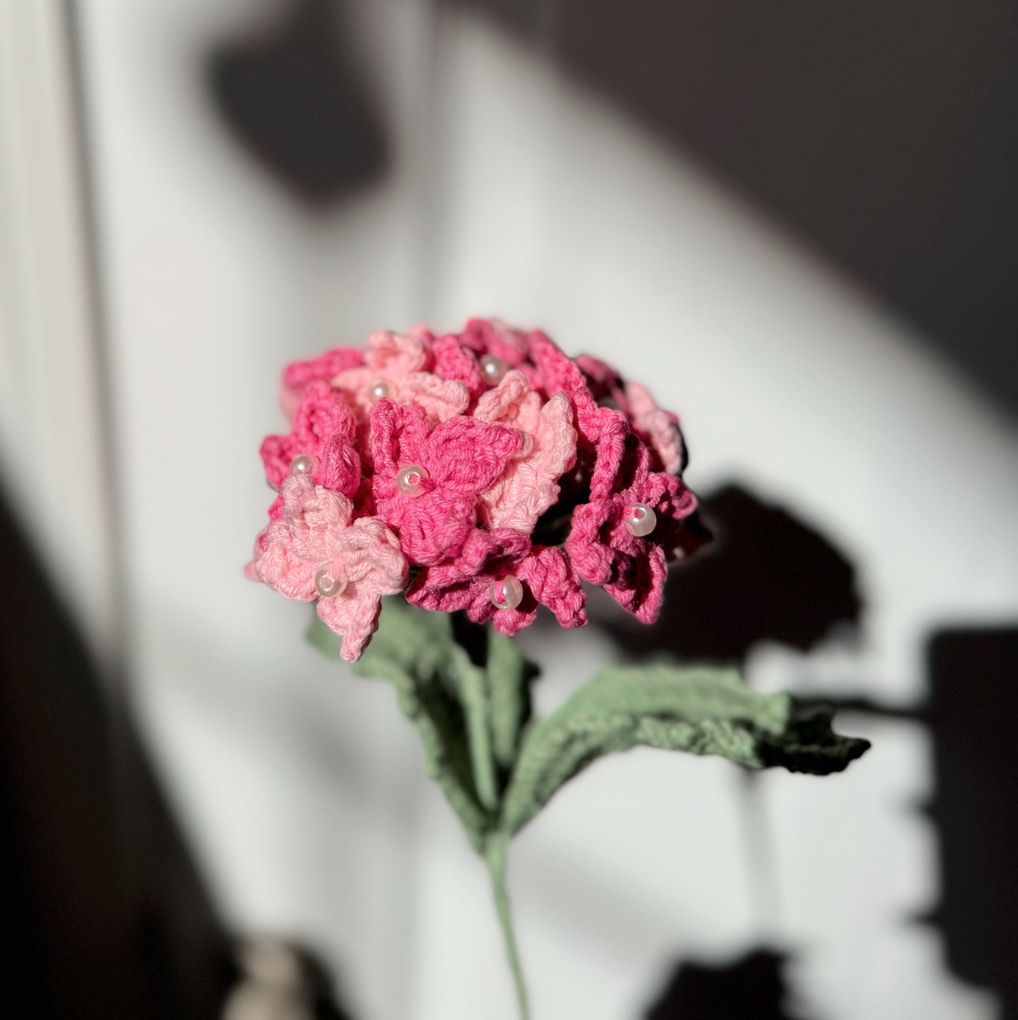 PINK HYDRANGEA