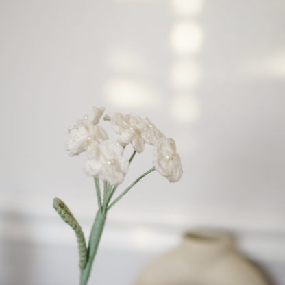 WHITE FORGET ME NOTS