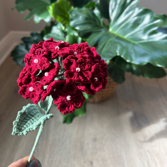 Red Hydrangea