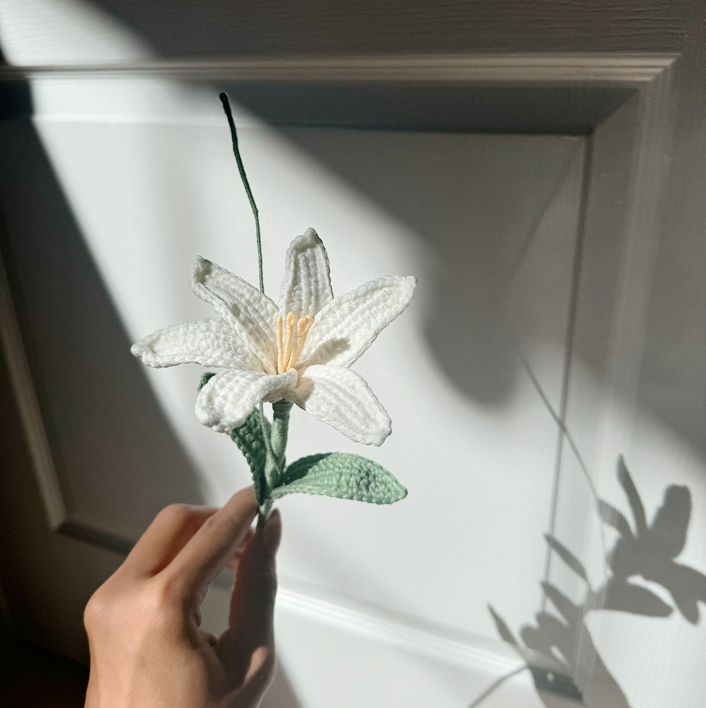 Rain Lily