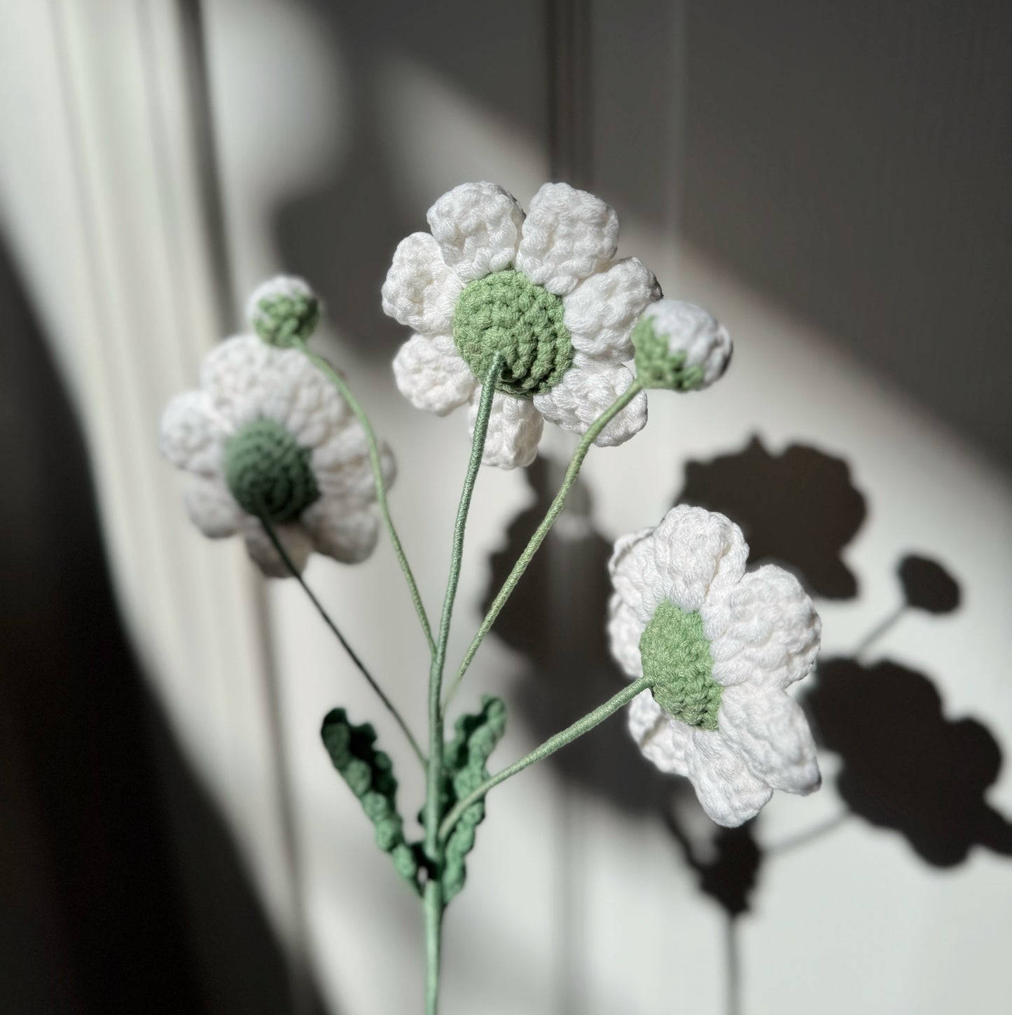 WHITE DAISY BRANCH