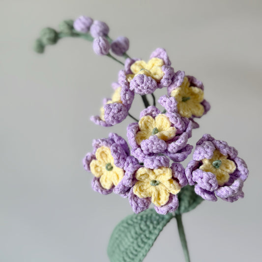 Larkspur